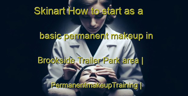 Skinart How to start as a basic permanent makeup in Brookside Trailer Park area | PermanentmakeupTraining | PermanentmakeupClasses | SkinartTraining-United States